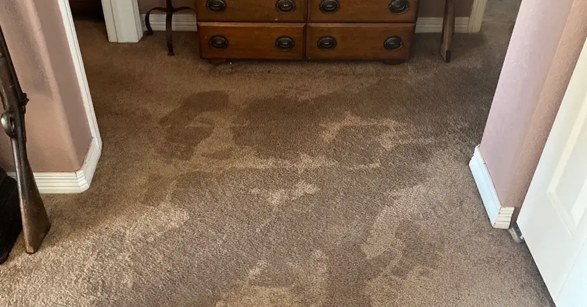 Water damage in a basement - Forefront Building + Restoration