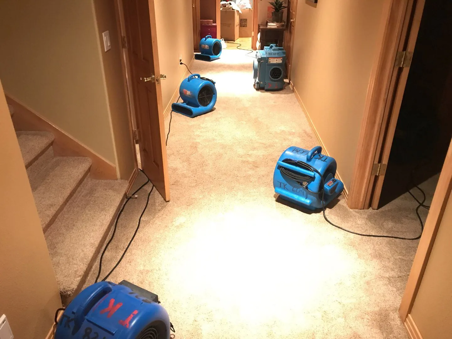 Air movers and a dehumidifier drying a water-damaged hallway