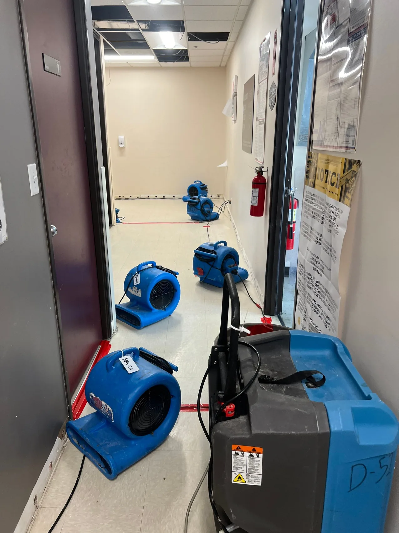 Dense fleet of air movers drying a commercial corridor after a water loss