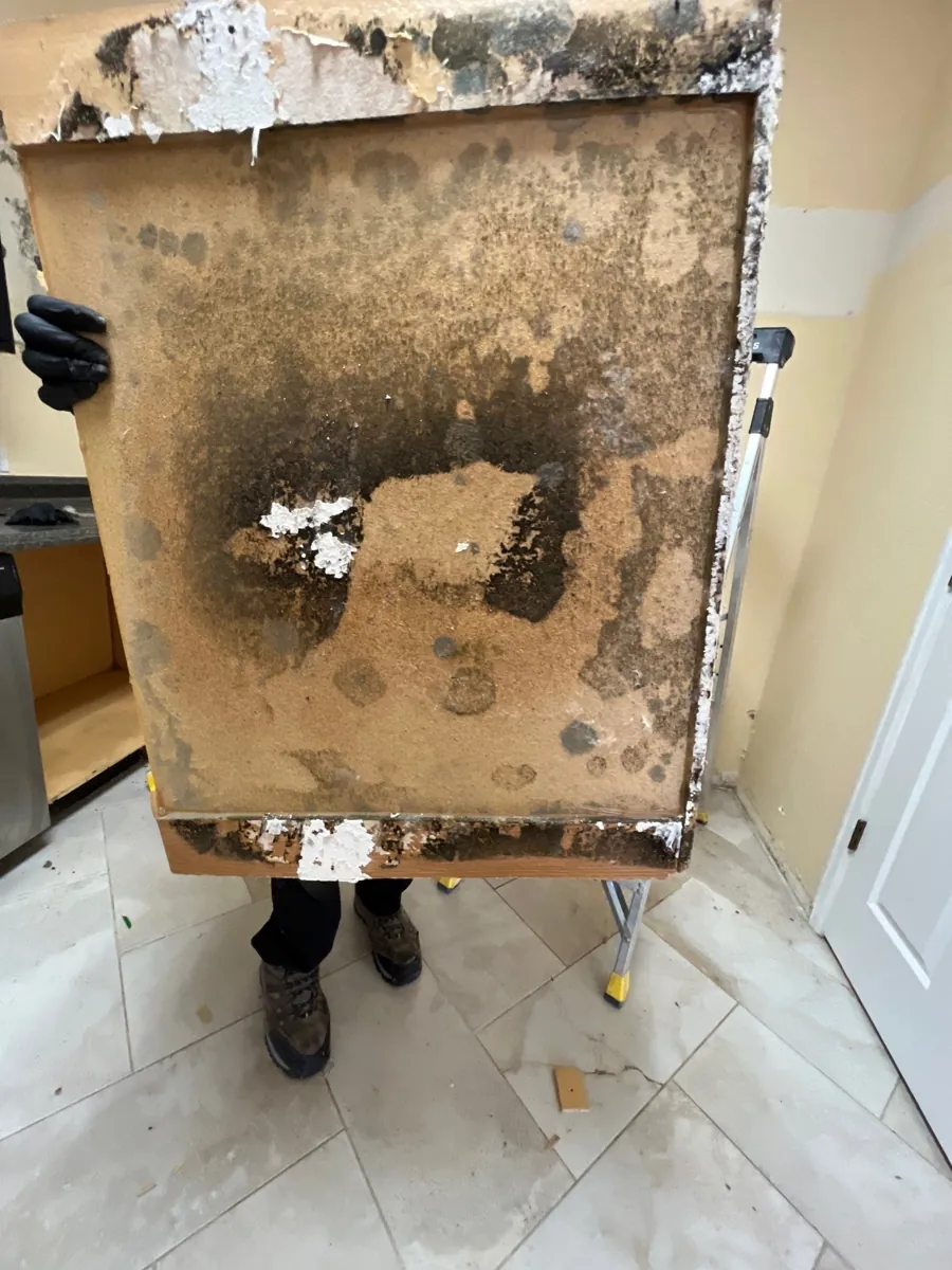 Severe hidden water damage and mold revealed behind a cabinet panel during inspection