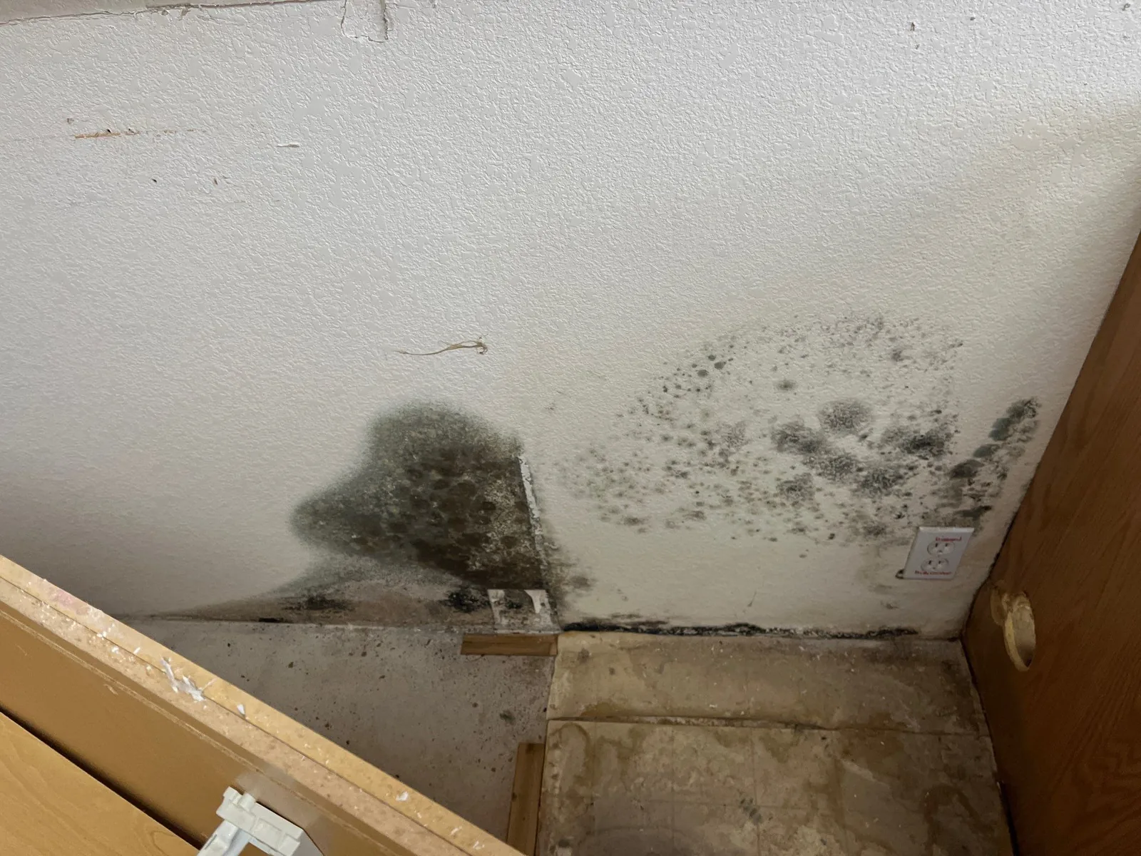 Mold growth in a ceiling corner from hidden water damage