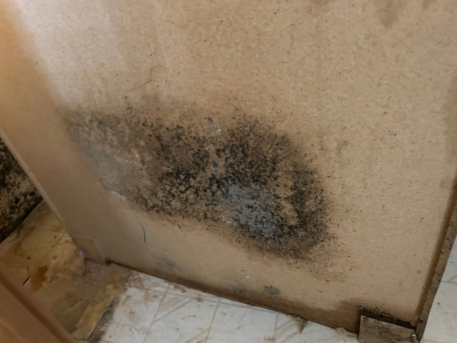 Black mold growth revealed on a wall from hidden water damage