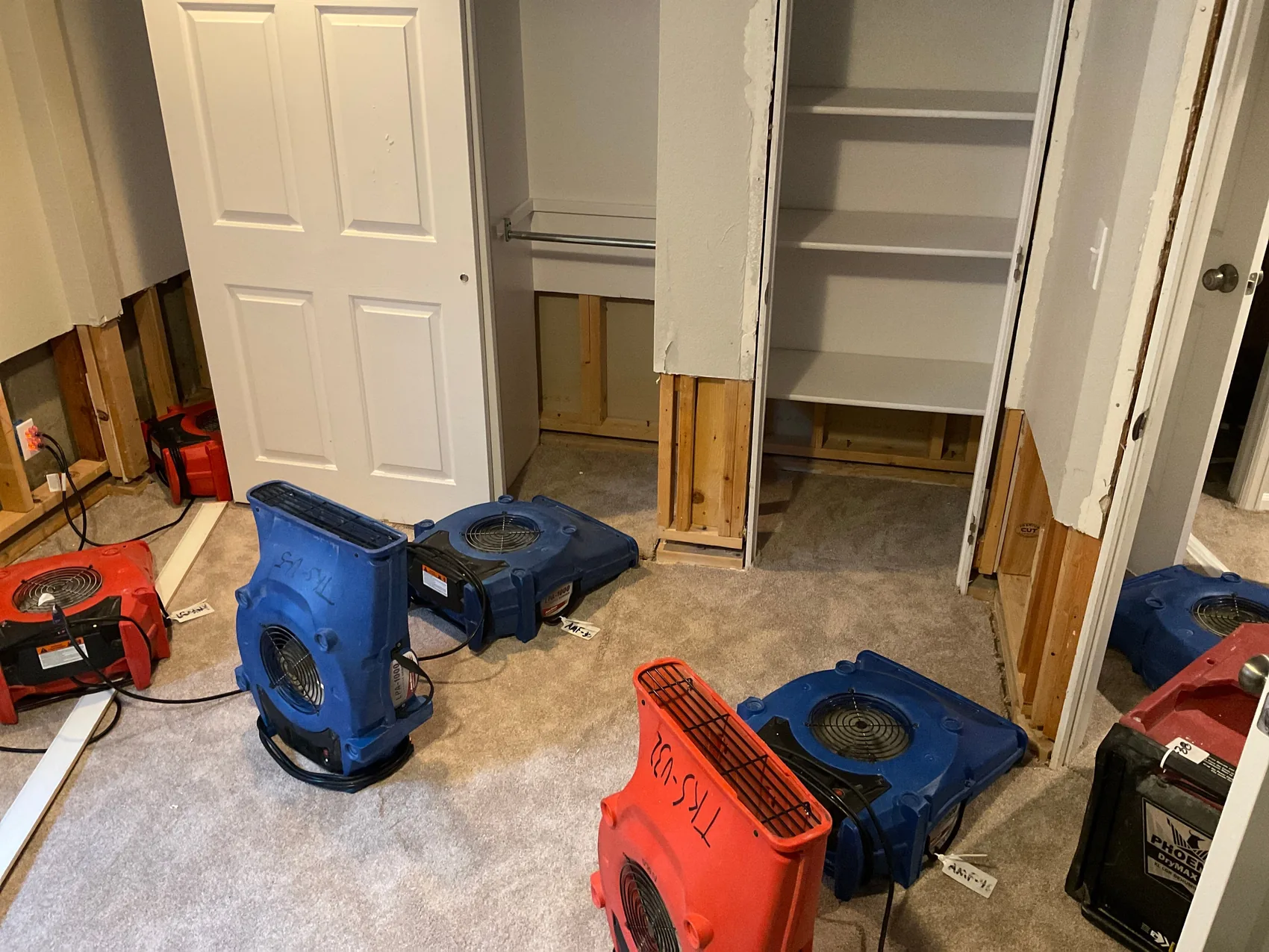 Air movers and a dehumidifier drying a room after mold removal
