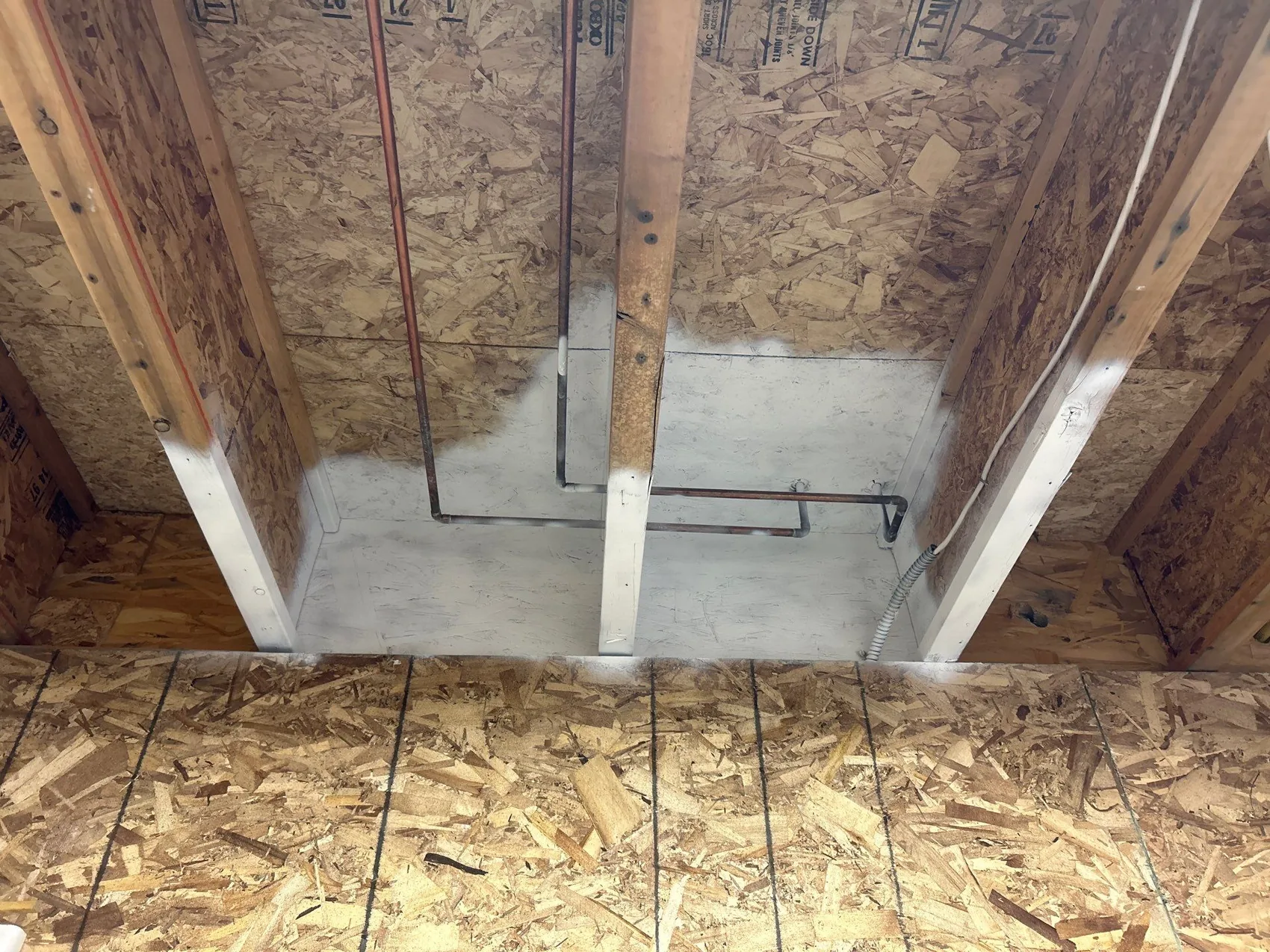 Wall framing cleaned and treated after mold removal