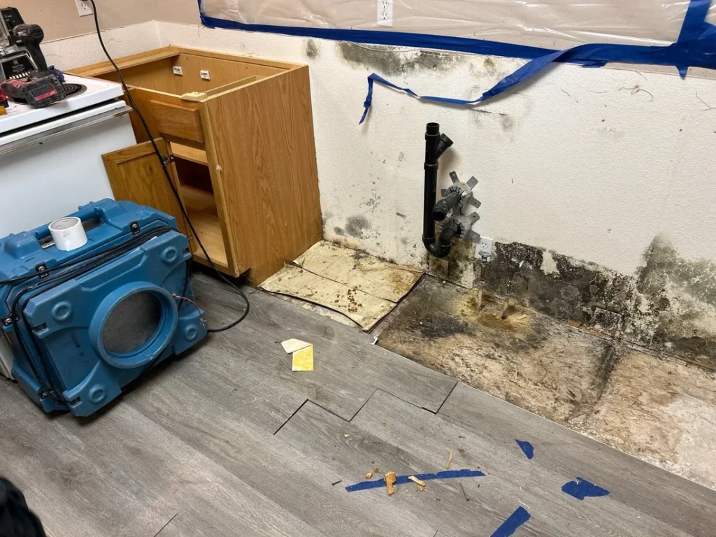 Black mold on a kitchen wall with containment during remediation