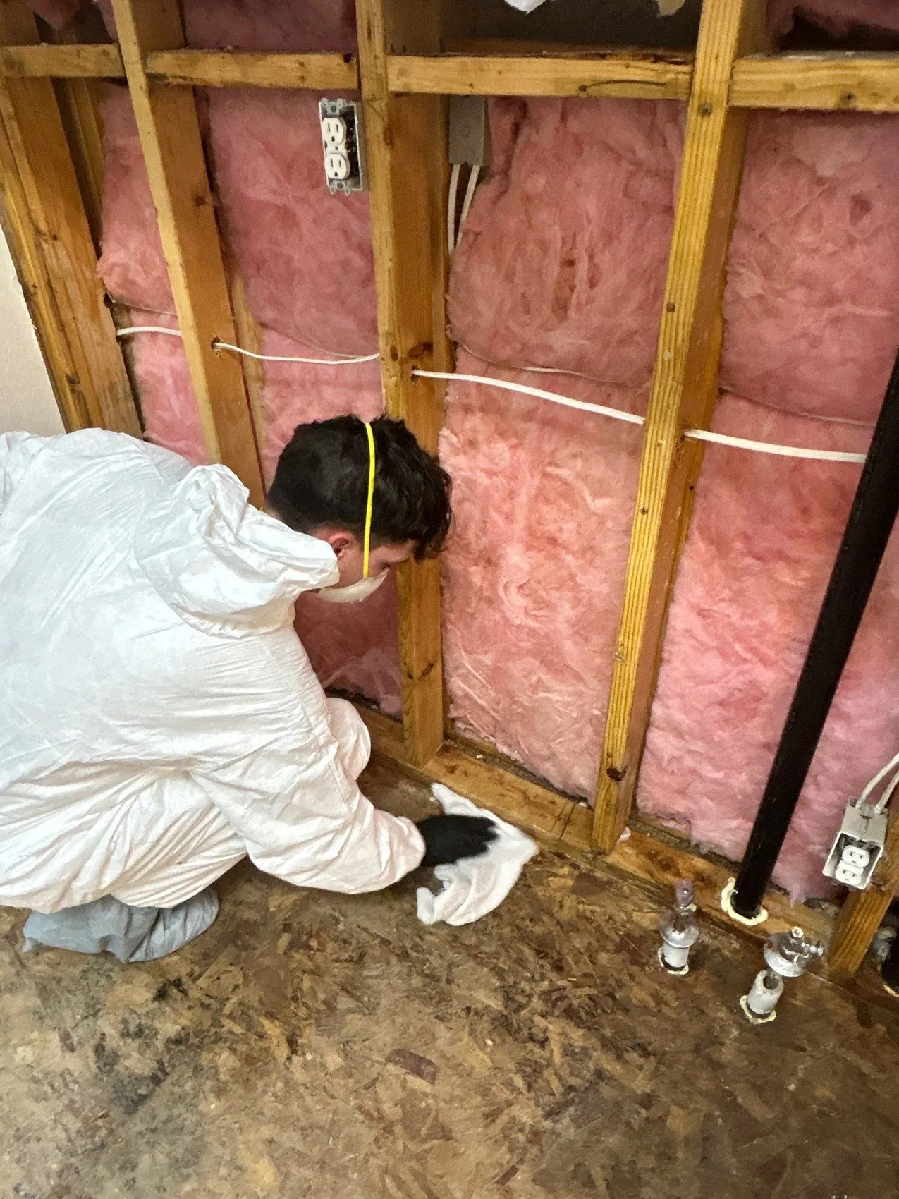 Forefront technician removing mold inside a sealed containment area