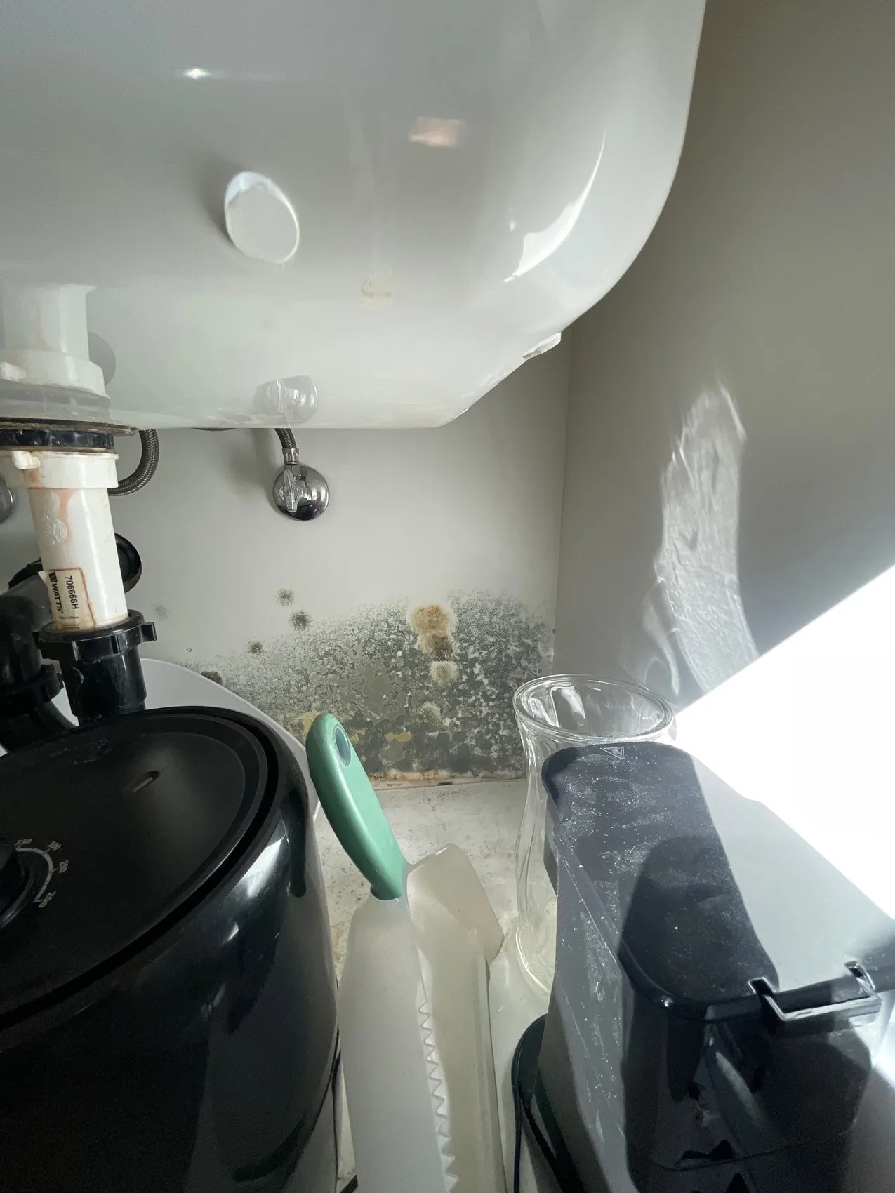 Inspecting a bathroom to confirm whether mold is present