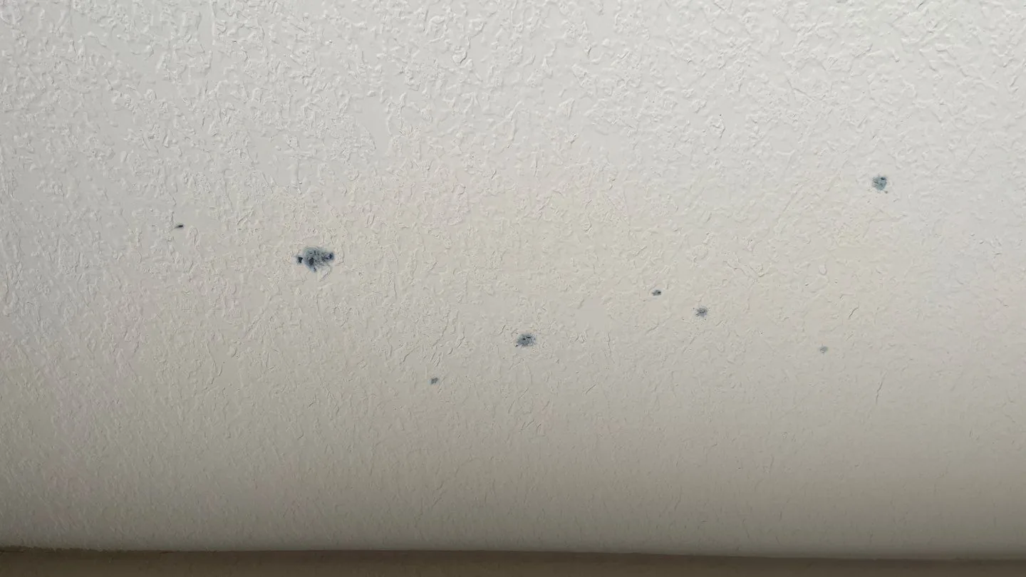 Faint discoloration on a ceiling, the kind homeowners wonder about, mold or just a stain