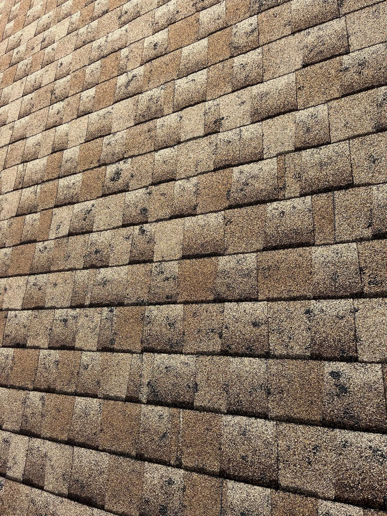 Asphalt shingle roof surface during a Colorado hail damage inspection