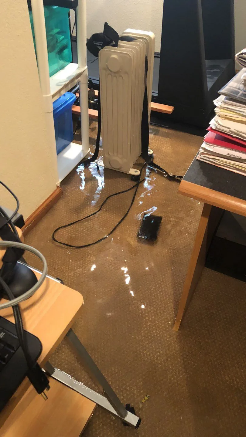 Standing water pooled on the floor of a flooded room