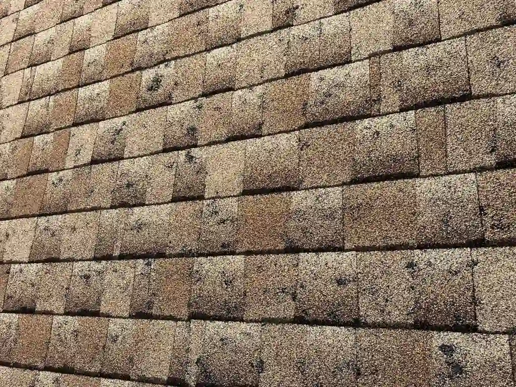 Hail-damaged asphalt shingle roof