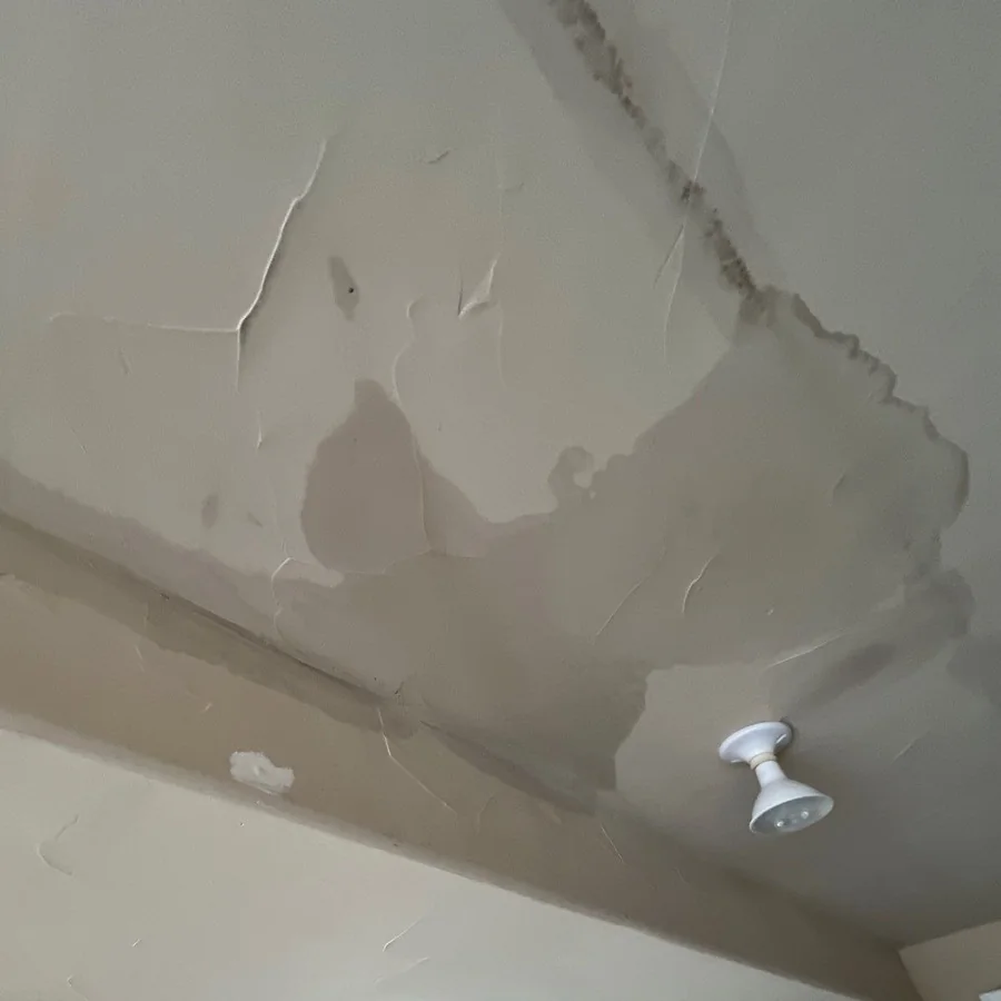 Water staining and bubbled paint spreading across a ceiling from a leak above